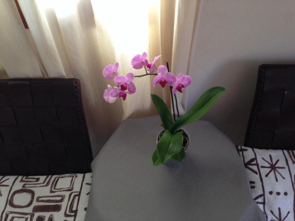 Allotjaments Serra De Tramuntana Bed & Breakfast 2*